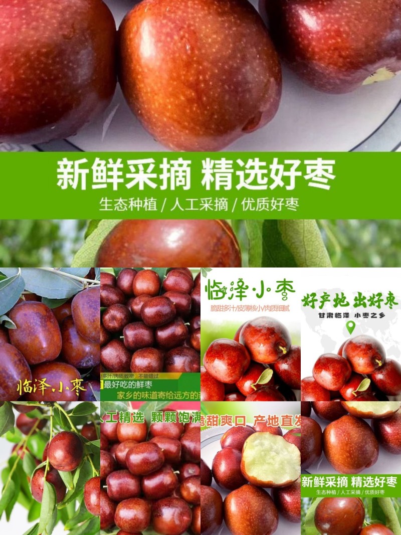 临泽小枣鲜枣