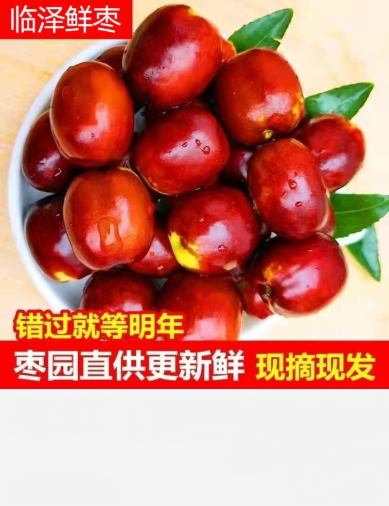 临泽小枣鲜枣