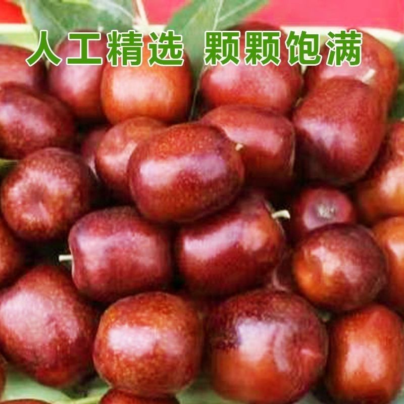 临泽小枣鲜枣