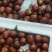 临泽小枣鲜枣