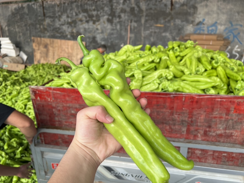 成品花椒绿豆水