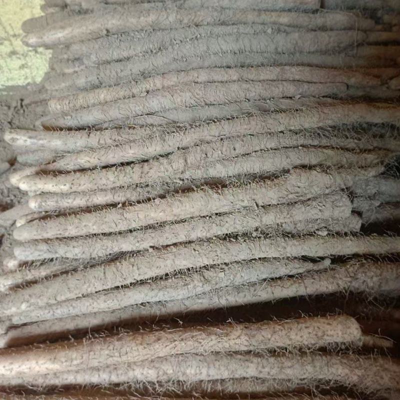 小白嘴山药量大从优欢迎洽谈合作各种山药精品山药