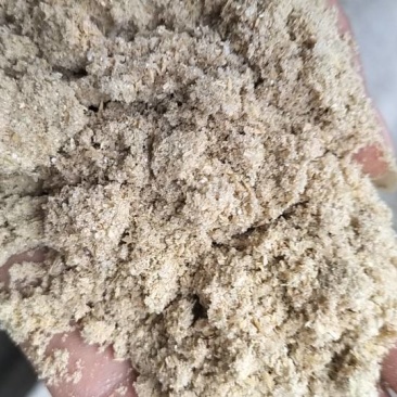 米糠出售1吨起售价格为一吨价***********