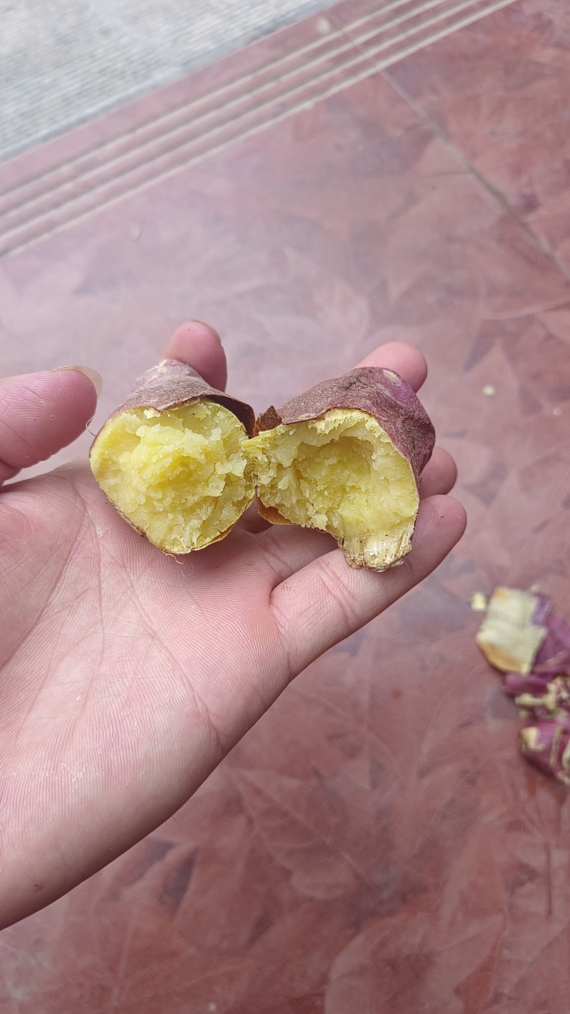 秦薯五号，地窖货，一指香板栗薯，干面甜，无丝，口感好