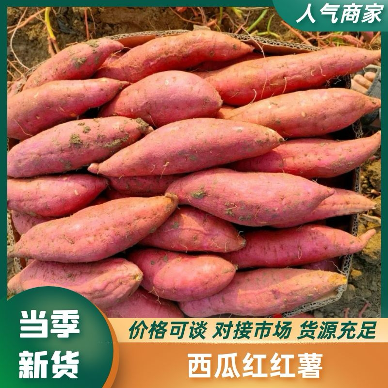 安徽西瓜红红薯黑土地西瓜红对接电商市场商超