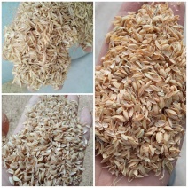 稻壳饲料原料鸡鸭鹅猪饲料添加米糠用于大棚种植