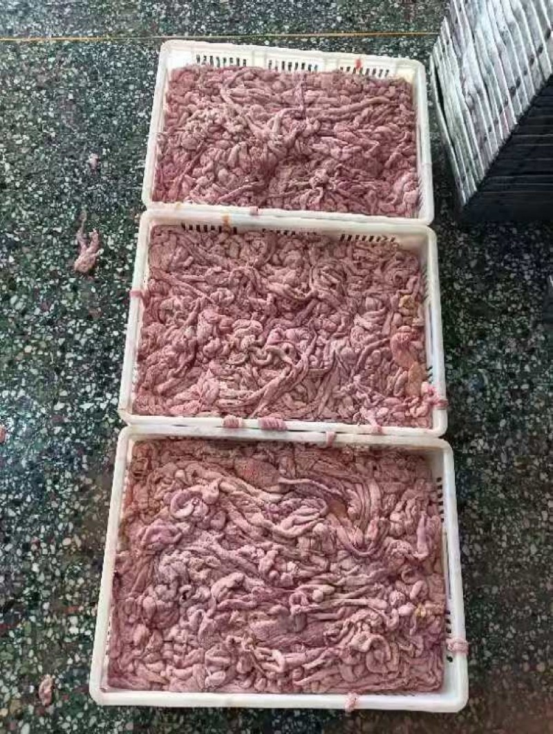 蛋包肠