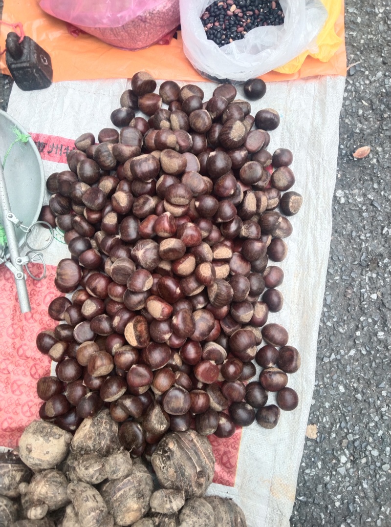 湖南高山板栗，粉糯香甜，炒货精选，品质有保障，可批可零