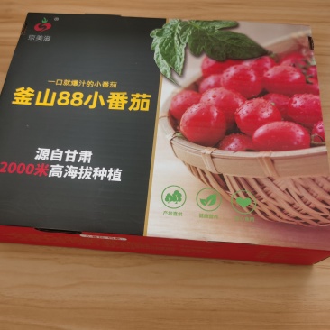 甘肃釜山88小番茄电商市场商超货源充足稳定