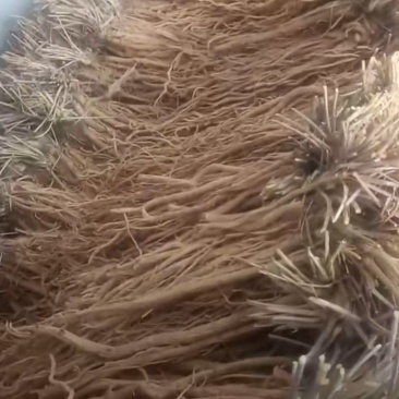 甘肃精品防风，质优价廉，一手货源产地直发，质量保证