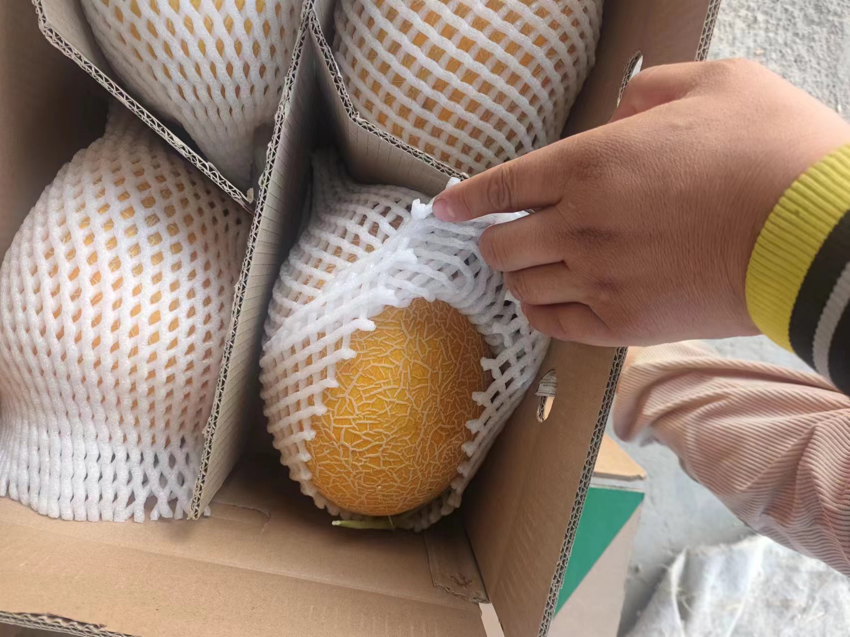 哈密瓜清洗过程示意图
