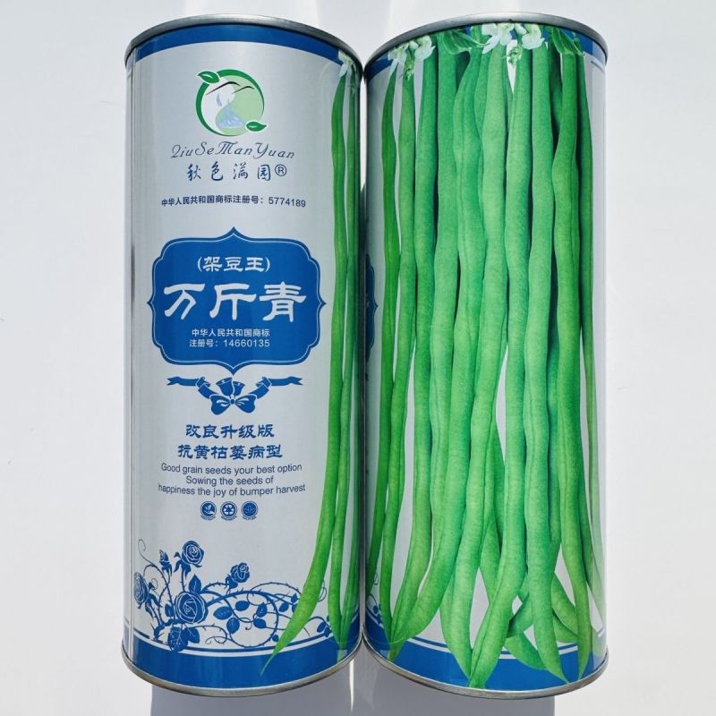 改良升级版万斤青架豆王种子无筋豆角种籽抗黄枯萎病四季架豆