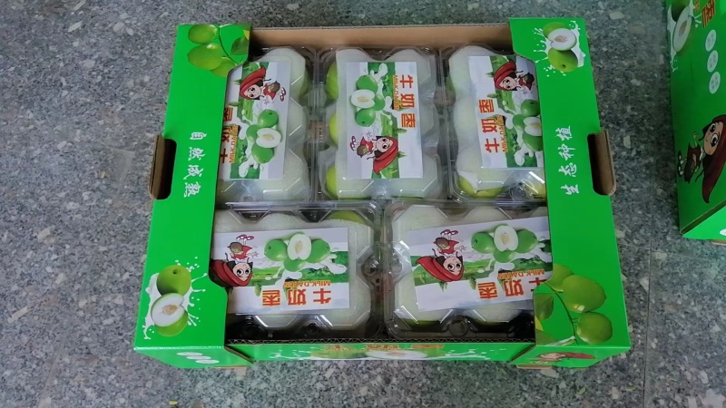 漳州市牛奶枣基地大量上市电商，超市批发欢迎采购，一件代发