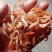 江虾干草虾干