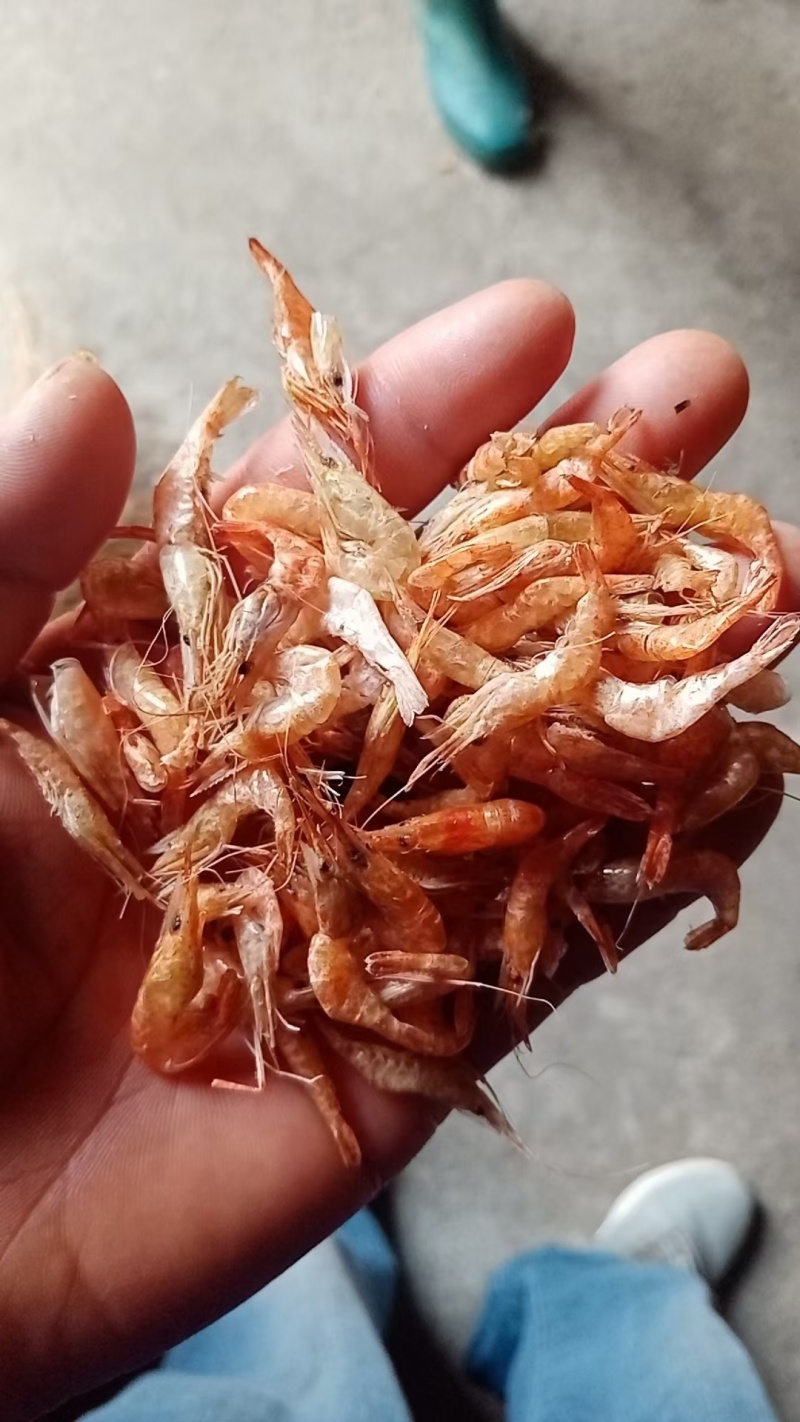 江虾干草虾干