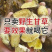 野生甘草甘草一等品特级泡茶中药***内蒙古野生甘草甜甘草