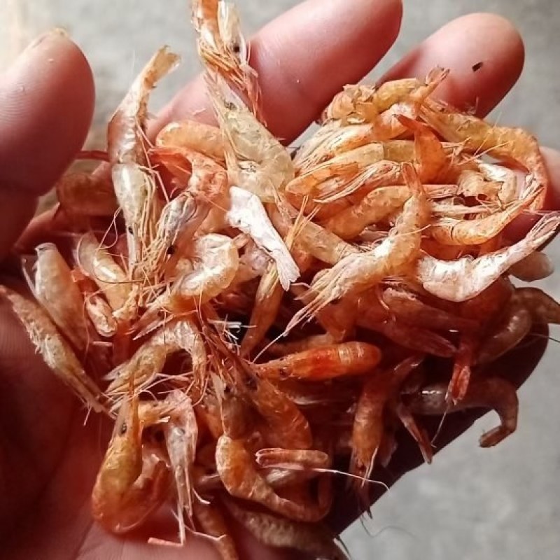 烤虾干