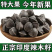 当季新果辣木籽正宗进食用无硫辣木子果仁带壳***真正品辣