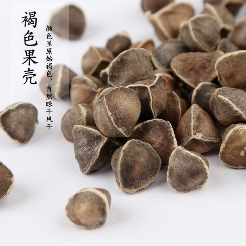 当季新果辣木籽正宗进食用无硫辣木子果仁带壳***真正品辣