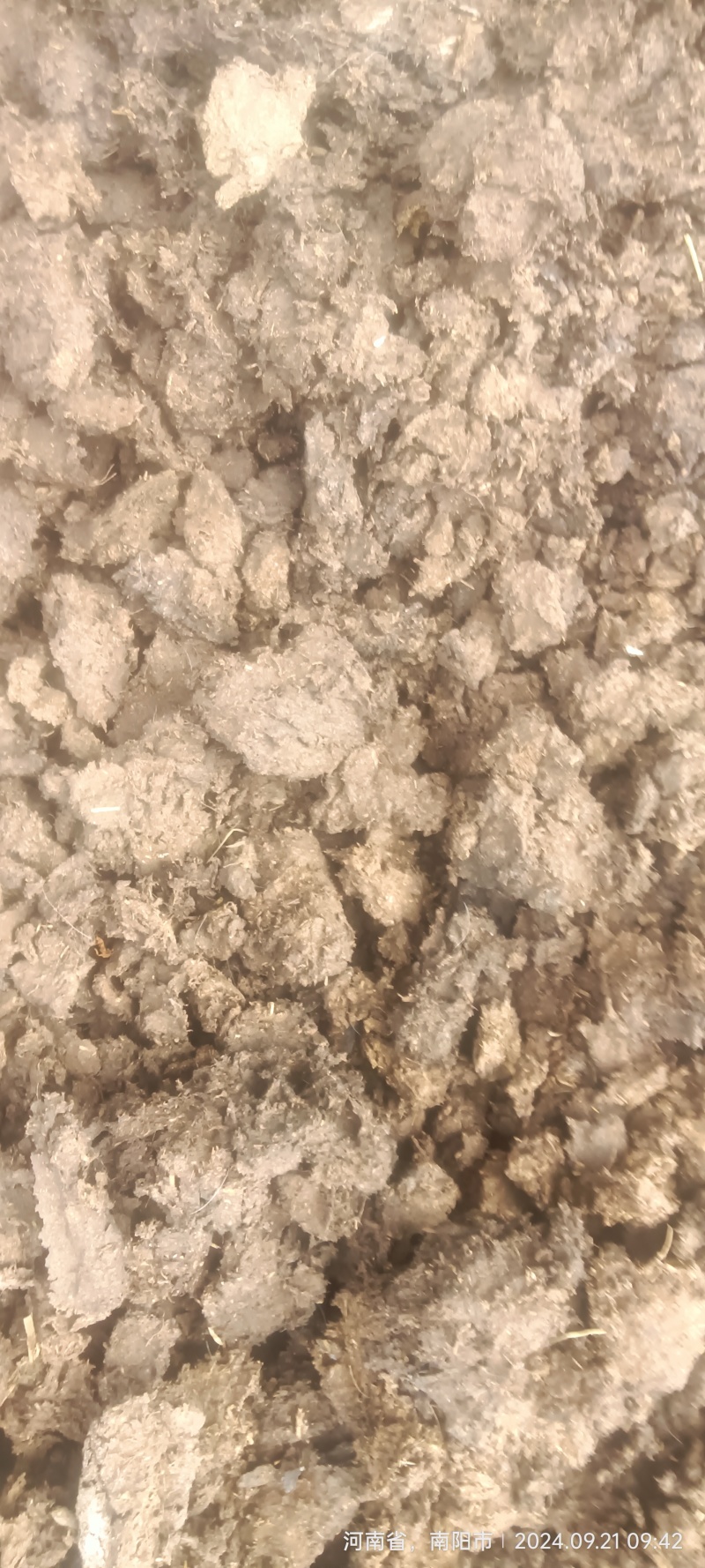 南阳科尔沁牛业公司，万头牛生产基地，量大质优。