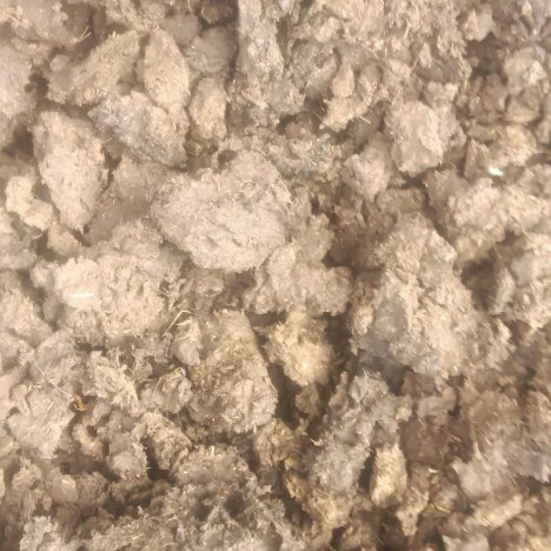 南阳科尔沁牛业公司，万头牛生产基地，量大质优。