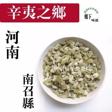 辛夷花