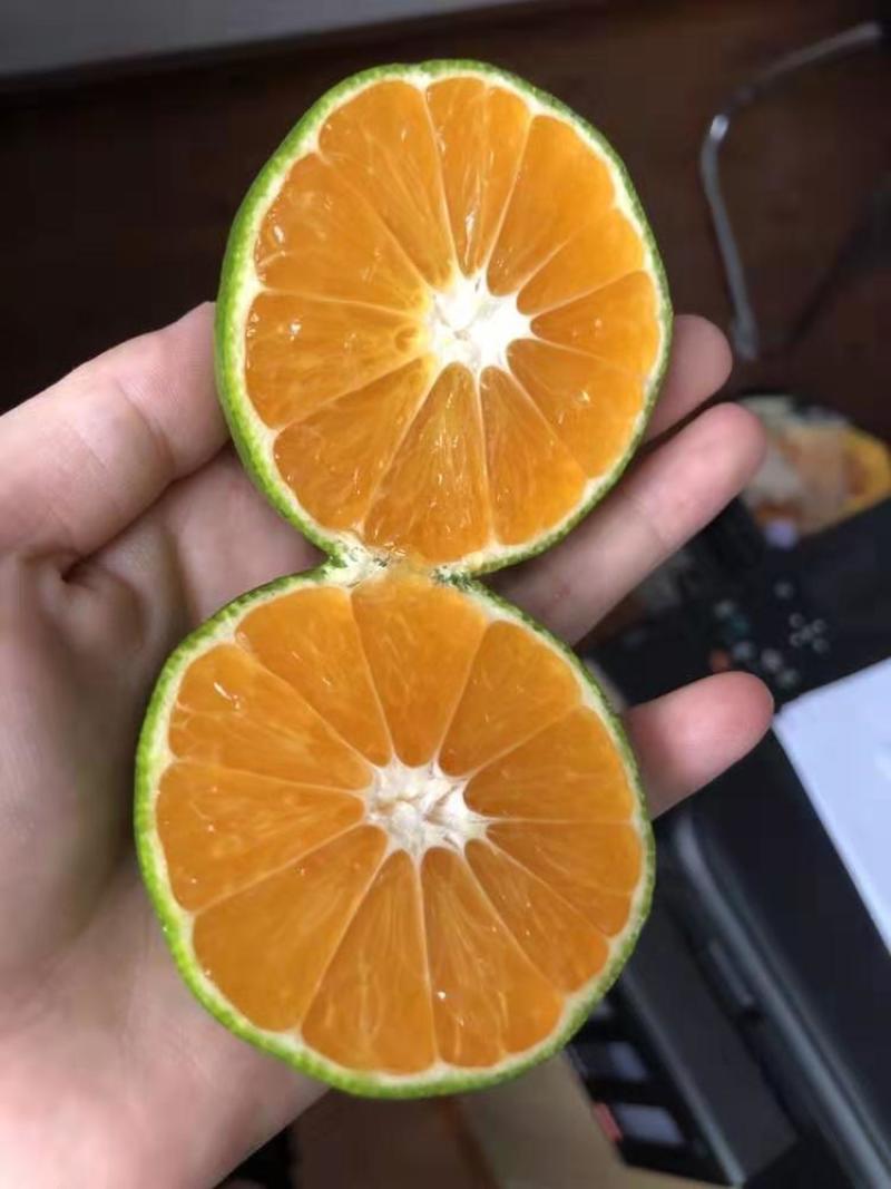 柑桔产地直销，电话***********