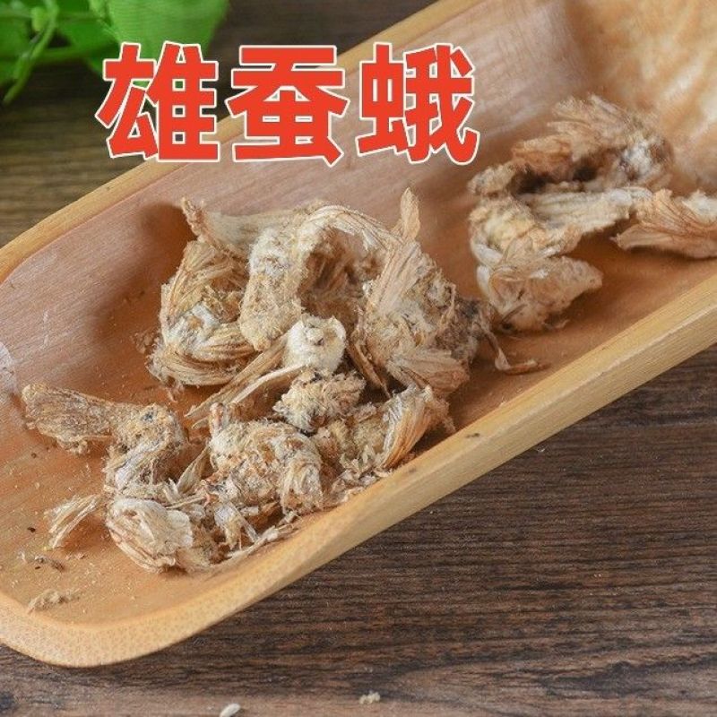 中药材滋补雄蚕蛾公晚蛾子未交配雄蚕蛾可泡酒原蚕蛾