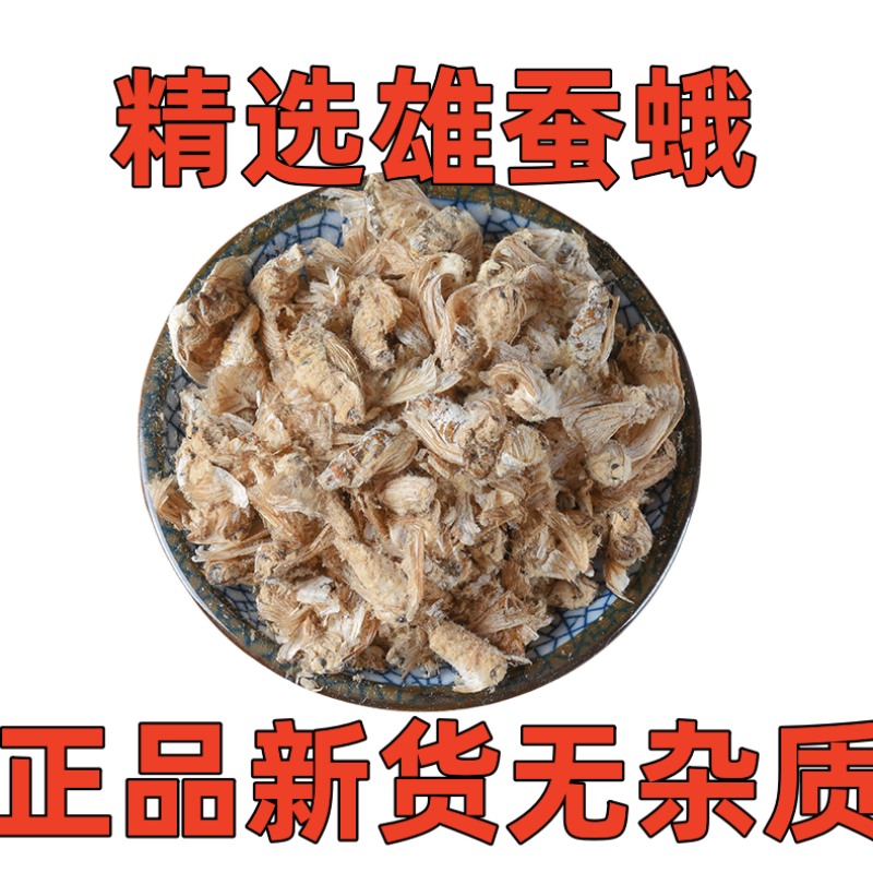 中药材滋补雄蚕蛾公晚蛾子未交配雄蚕蛾可泡酒原蚕蛾
