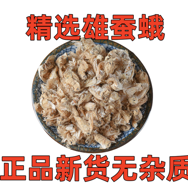中药材滋补雄蚕蛾公晚蛾子未交配雄蚕蛾可泡酒原蚕蛾
