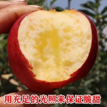 云南丑苹果产地直接发货，支持一件代发，电商平台对接