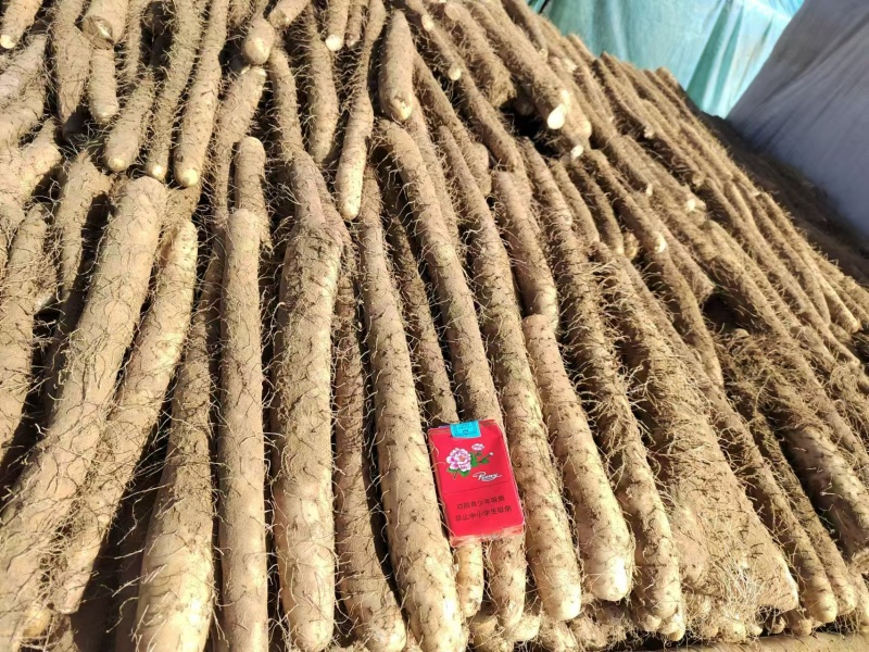 榆林白玉