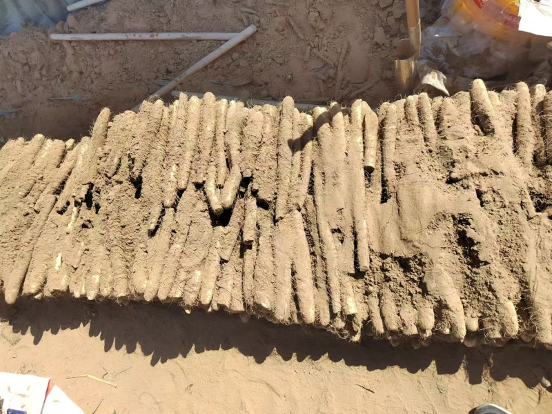 榆林白玉