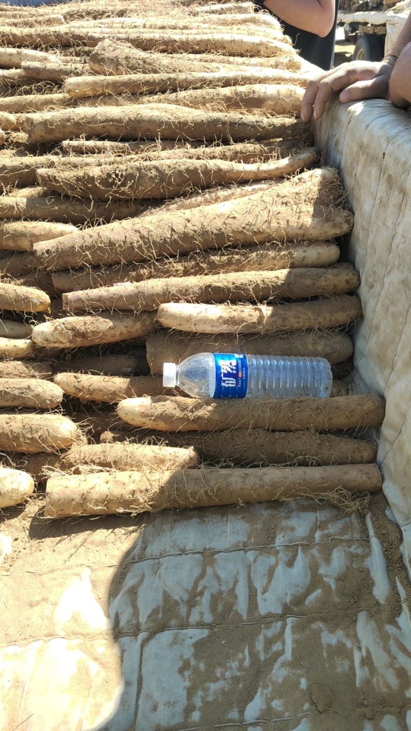 榆林白玉