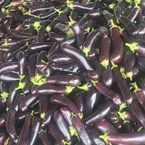 电商食堂货绿吧茄子