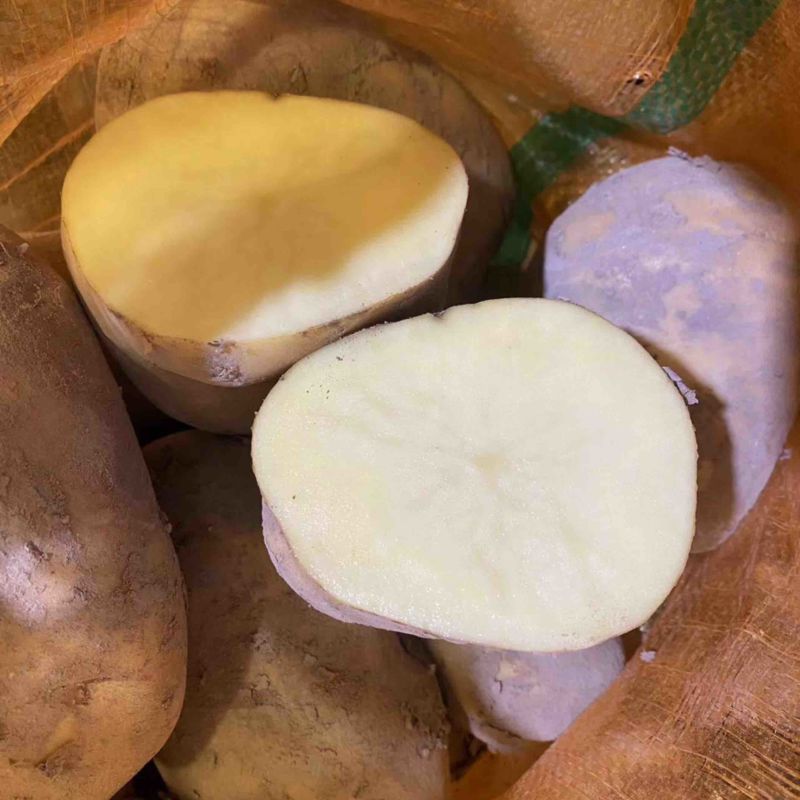 陇七，薯片厂专用加工薯，薯条，锅巴土豆，狼牙土豆