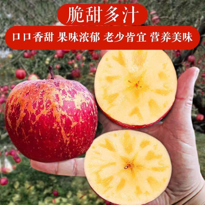 云南丑苹果产地直接发货，支持一件代发，电商平台对接
