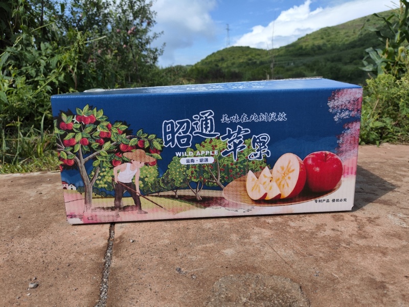 云南丑苹果产地直接发货，支持一件代发，电商平台对接