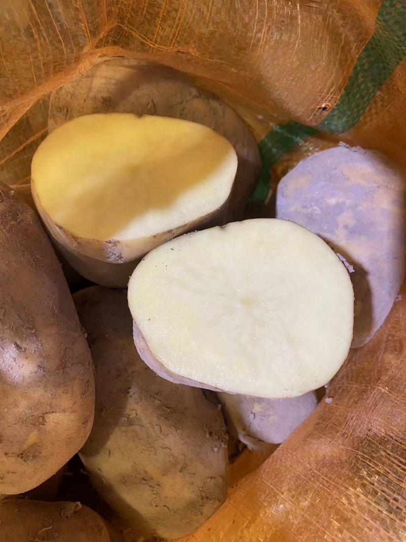陇七，薯片厂专用加工薯，薯条，锅巴土豆，狼牙土豆