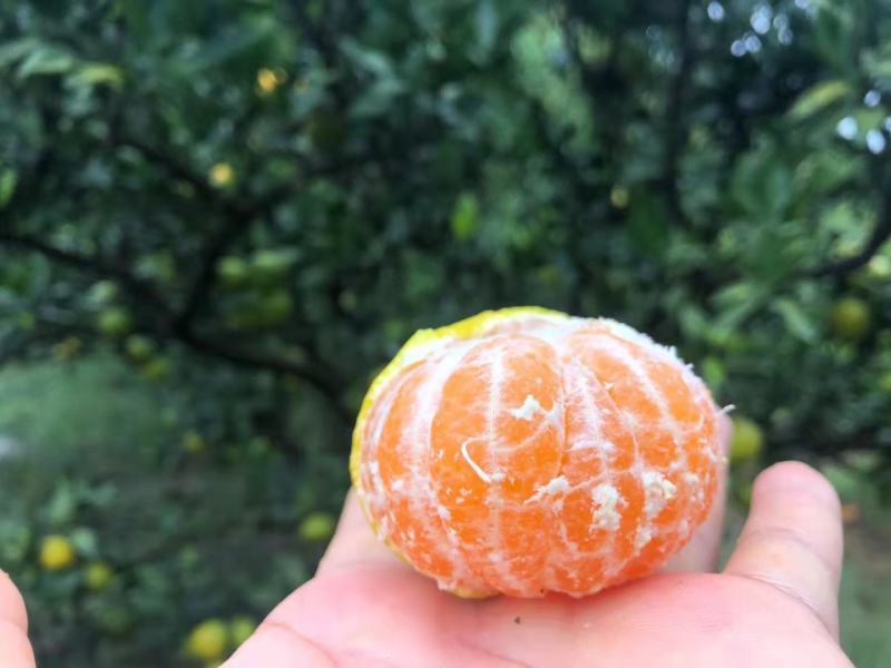 产地直销，看货说价