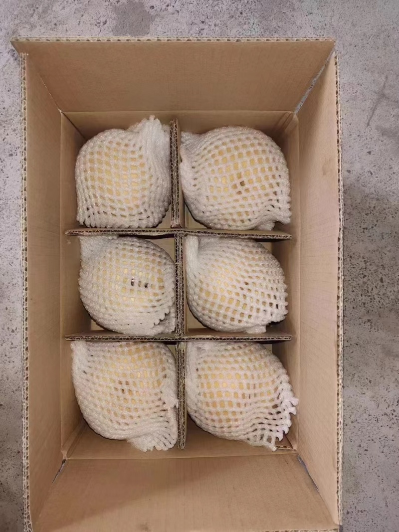 【丰水梨】河北赵县梨规格齐全皮薄核小水分充足承接电商加工批发