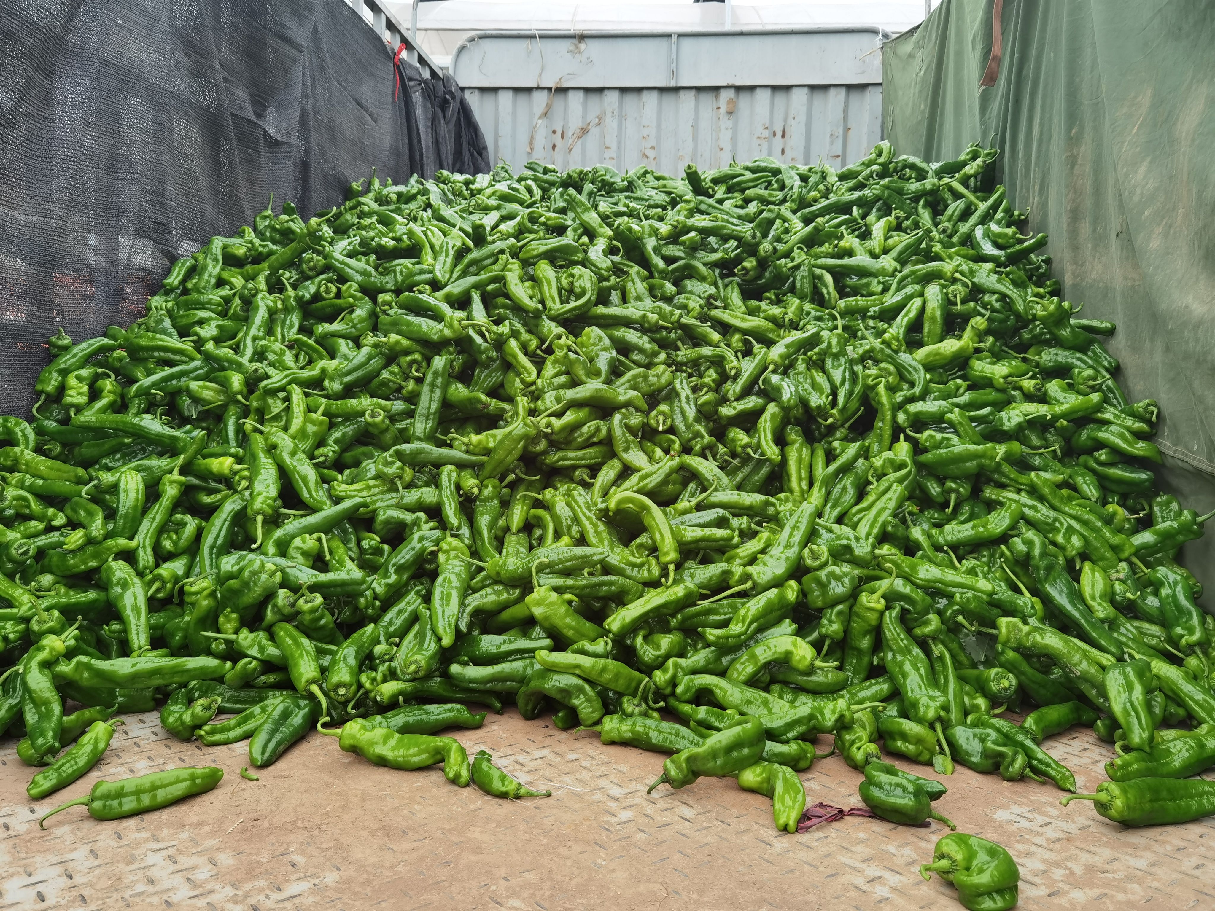 301辣椒在电商平台销售场景