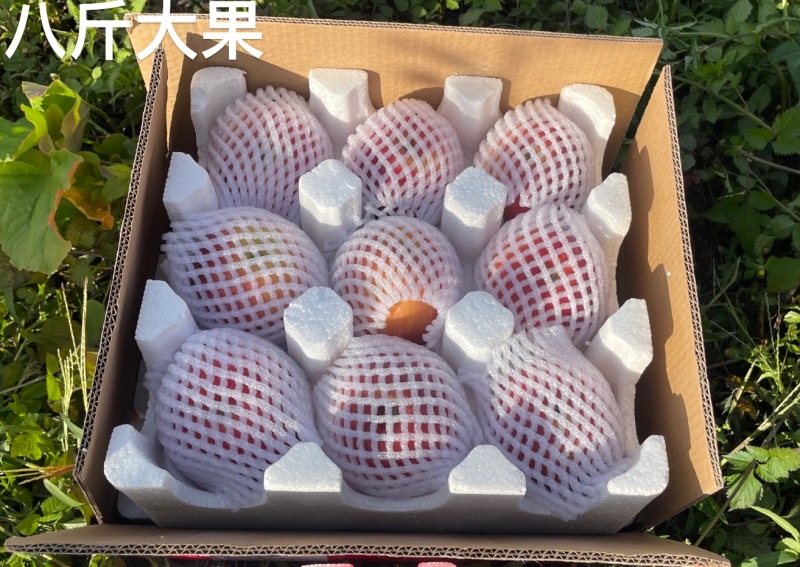 烟台红富士苹果，支持一件代发，专业靠谱供应链