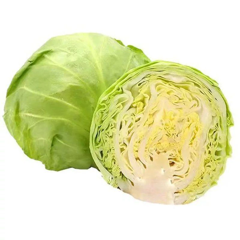 精品圆包菜，大量有货供应，对接各大市场商超电商