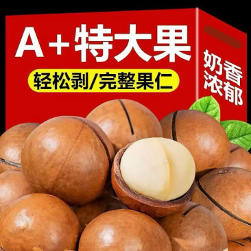 2026年新货奶香夏威夷果整箱散装批发一手货源量大优惠