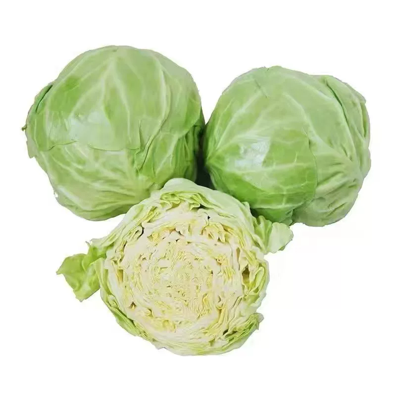 精品圆包菜，大量有货供应，对接各大市场商超电商