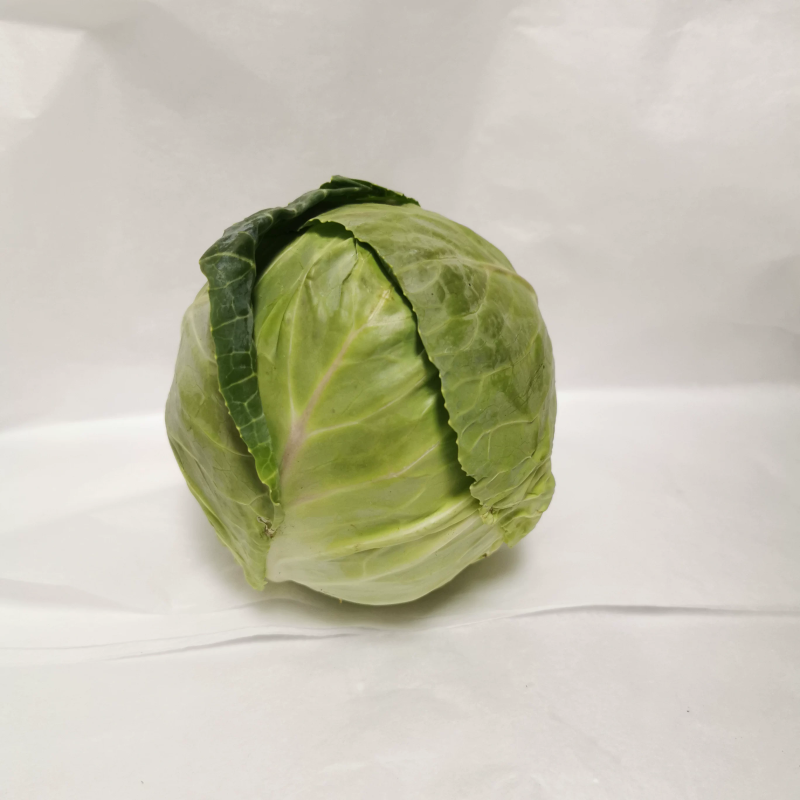 精品圆包菜，大量有货供应，对接各大市场商超电商