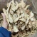 当归片甘肃岷县大片无硫当归头片常年大货批发24小时发货