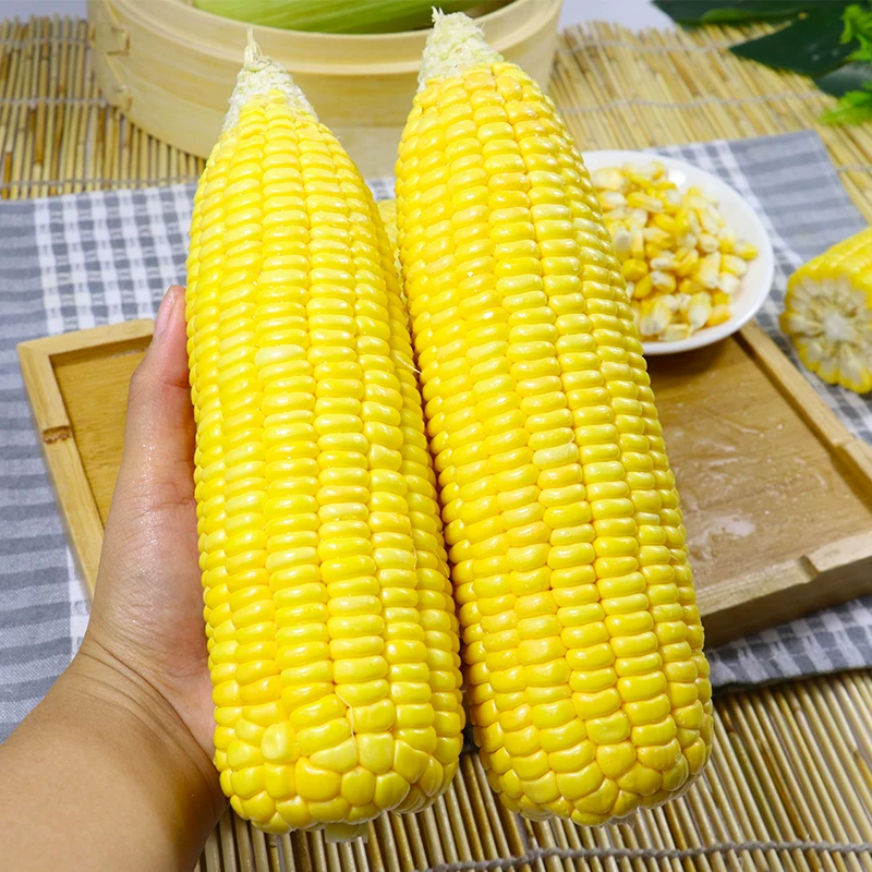 精品甜玉米，大量有货供应，对接各大市场商超电商