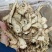 当归片甘肃岷县大片无硫当归头片常年大货批发24小时发货